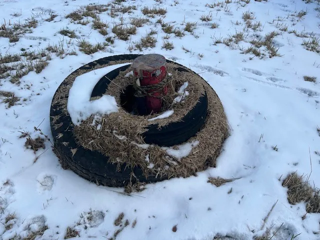 $59,900 | 3577 Norris Road, Milo, NY 14842