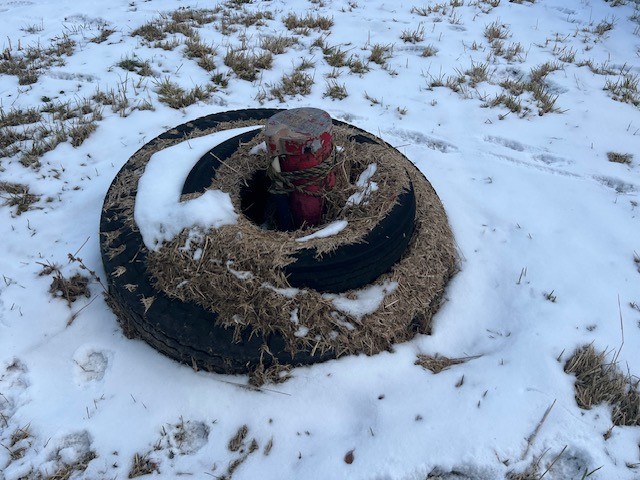 3577 Norris Road Milo, NY 14842 - Photo 8 of 25