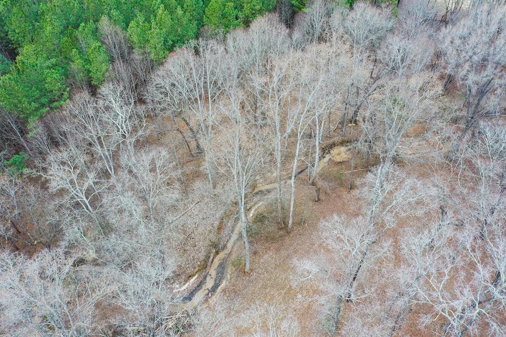 4031 Marion Road Chatham, VA 24531 - Photo 46 of 55 Gallery Image 46