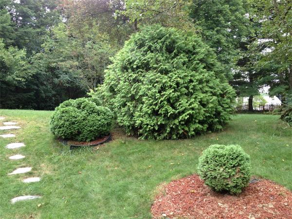 57 Fox Farm Road Feeding Hills, MA 01030 - Photo 14 of 16 Gallery Image 14