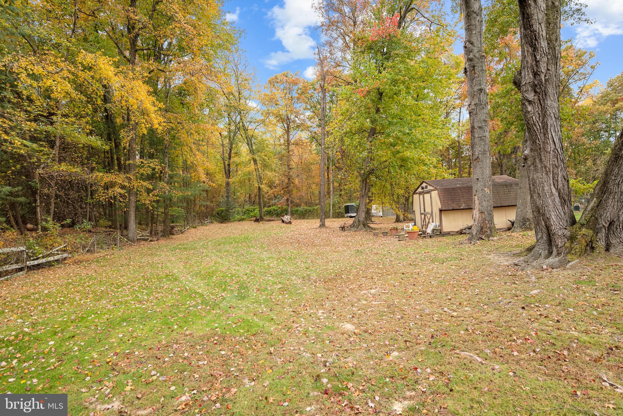 7807 Colonial Lane Clinton, MD 20735 - Photo 21 of 29 a view of yard with trees