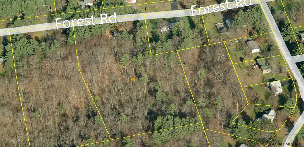 33 Forest Road Ballston, NY 12027 - Photo 22 of 22 From tax program using bird's eye view