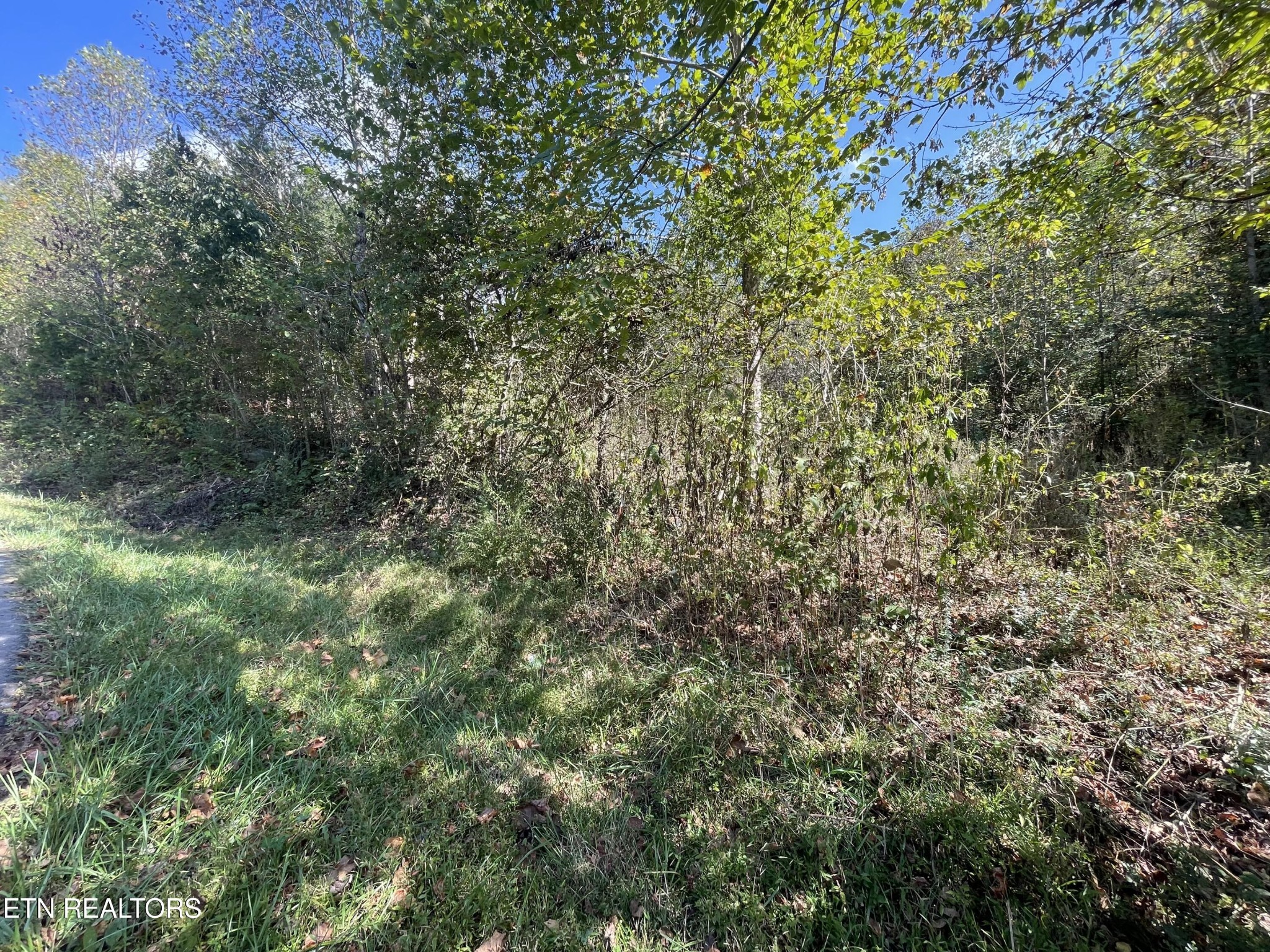 567 Beatys Chapel Road Tellico Plains, TN 37385 - Photo 36 of 39 Gallery Image 36