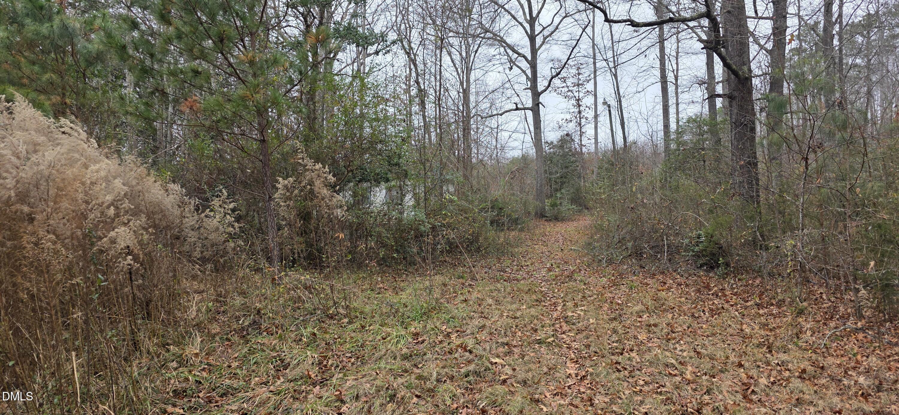 674 Axtell Ridgeway Road Norlina, NC 27563 - Photo 2 of 7 a view of a forest with trees in the background