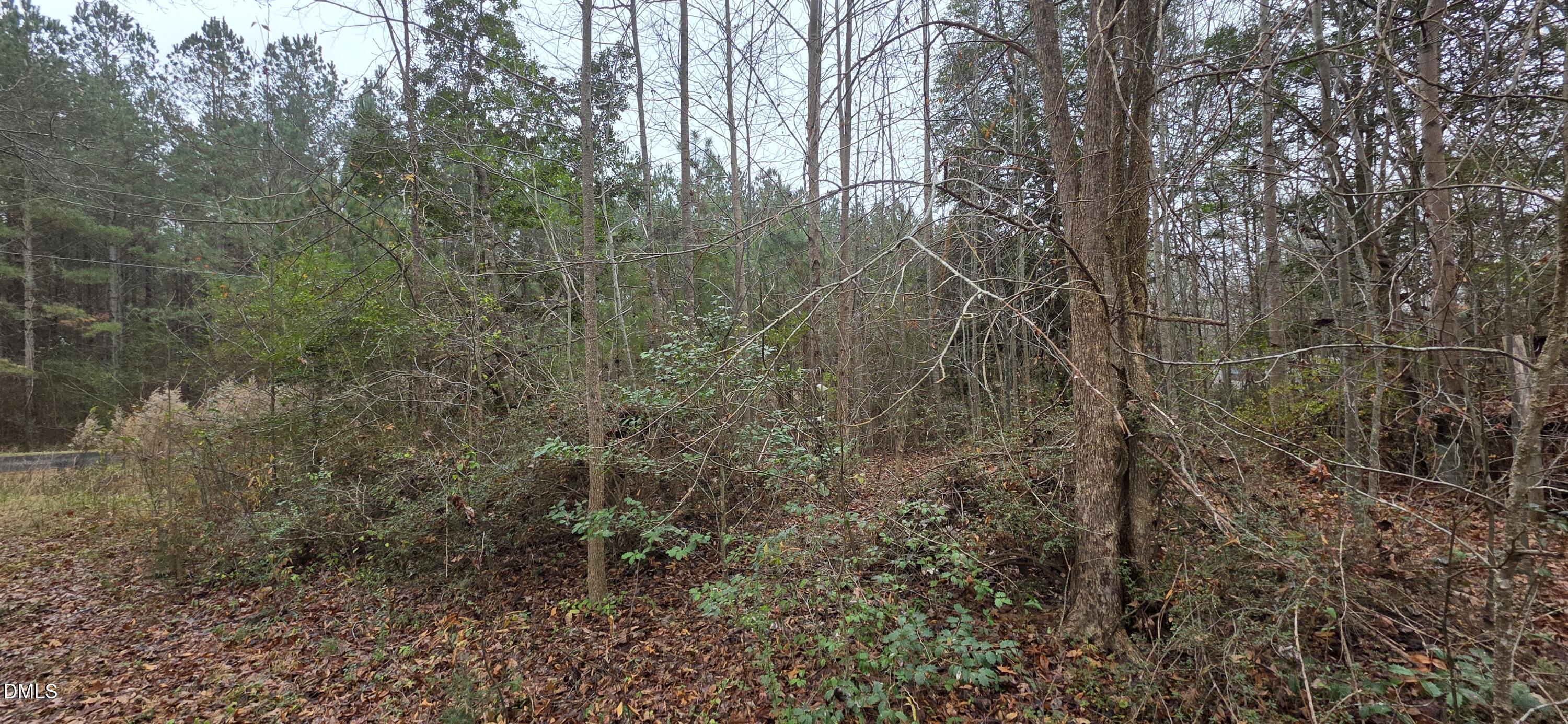 674 Axtell Ridgeway Road Norlina, NC 27563 - Photo 6 of 7 a backyard of a house with lots of plants and trees
