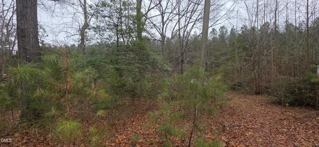 a view of a yard with large trees