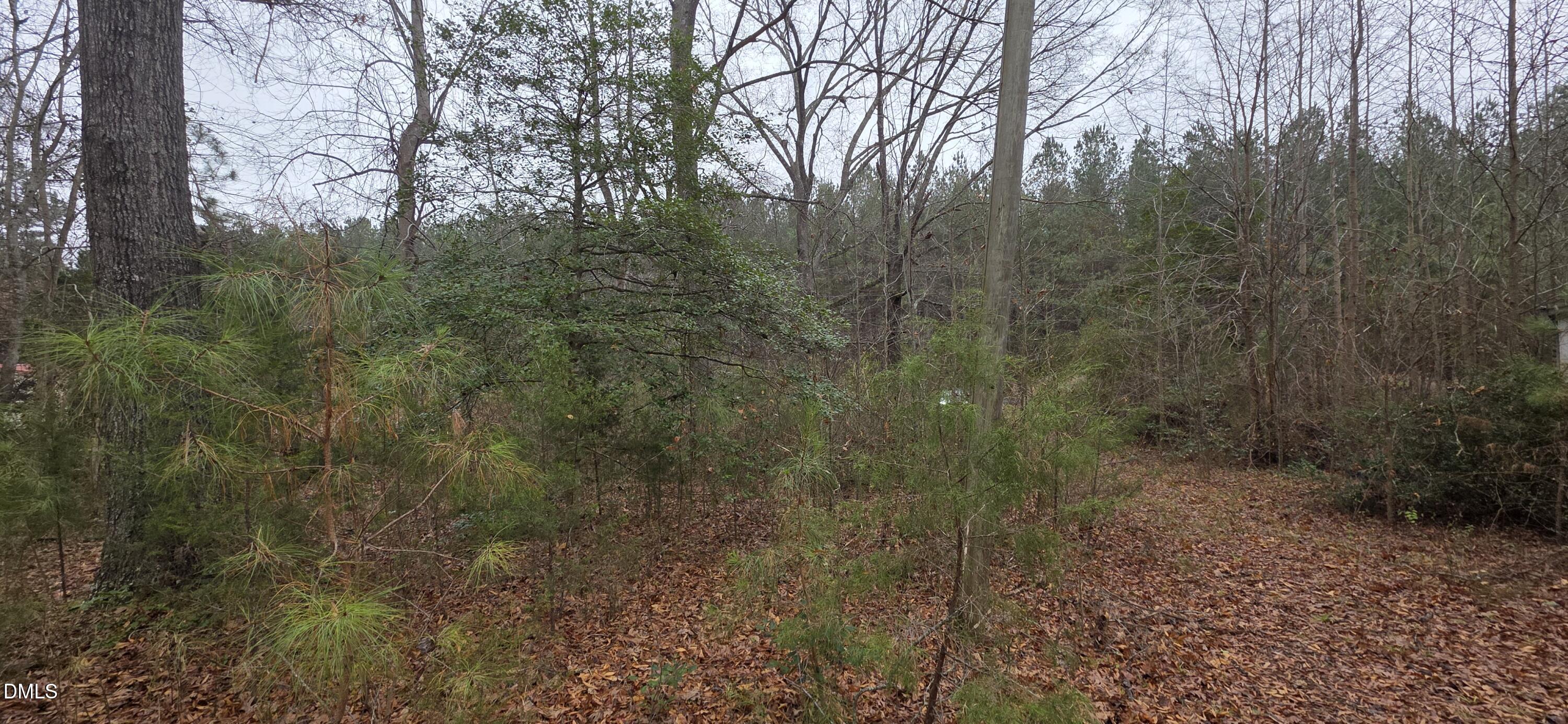 674 Axtell Ridgeway Road Norlina, NC 27563 - Photo 7 of 7 a view of a yard with large trees