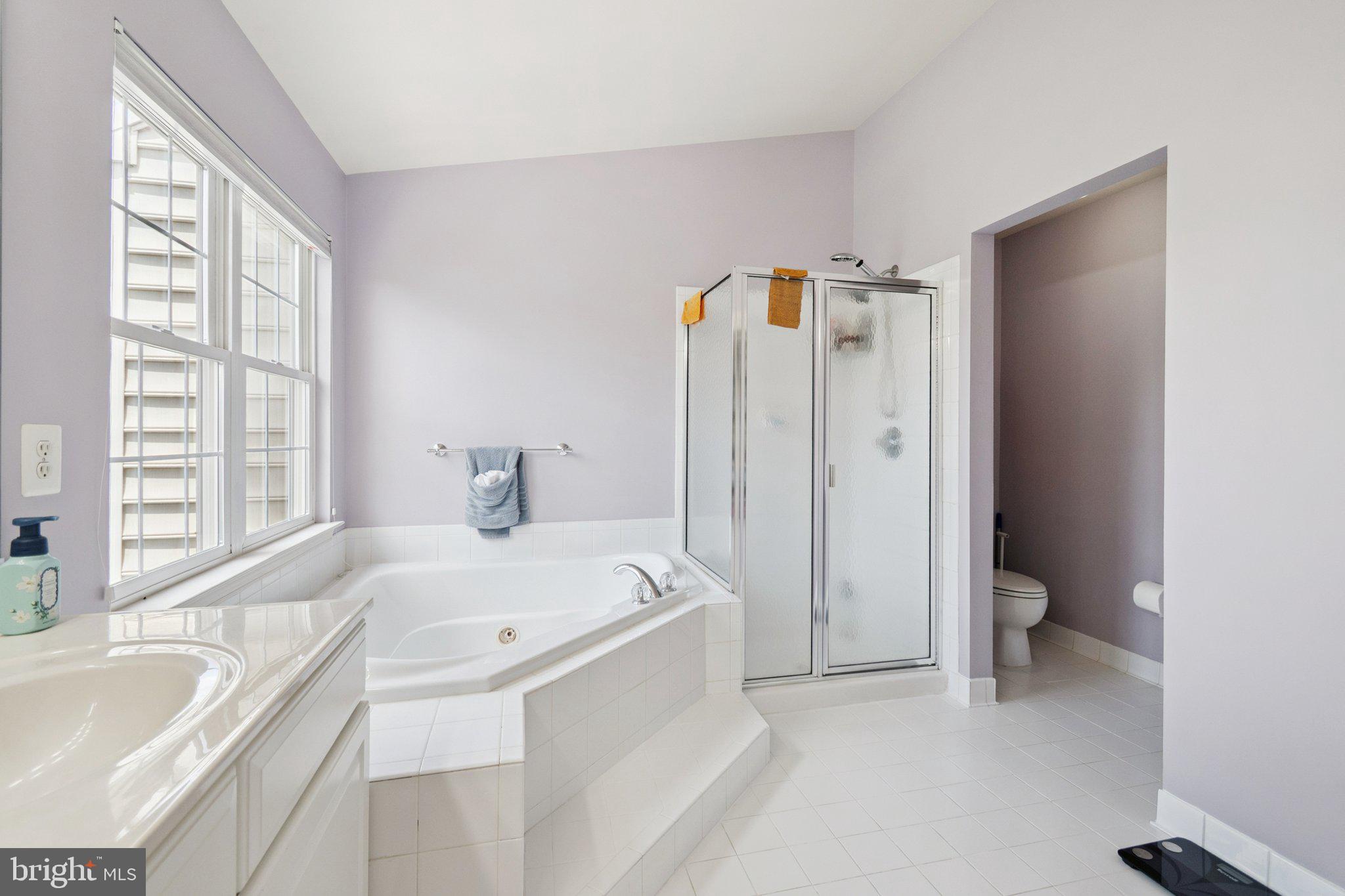 22602 Welborne Manor Square Ashburn, VA 20148 - Photo 16 of 30 a bathroom with a tub sink and mirror