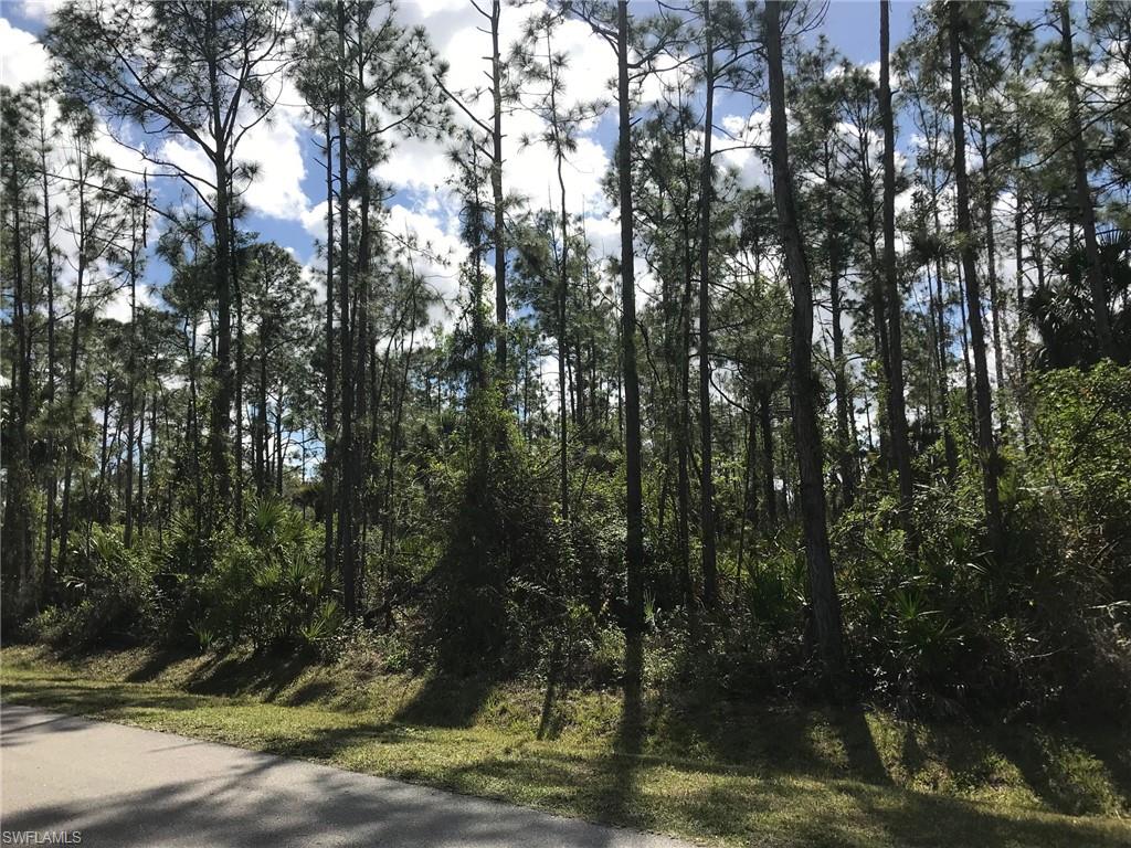 Jung Boulevard Naples, FL 34120 - Photo 2 of 20