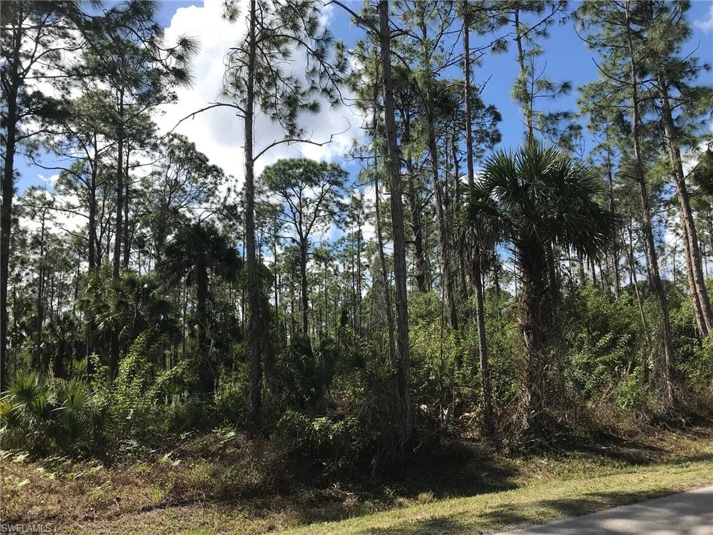 Jung Boulevard Naples, FL 34120 - Photo 3 of 20 a view of street view