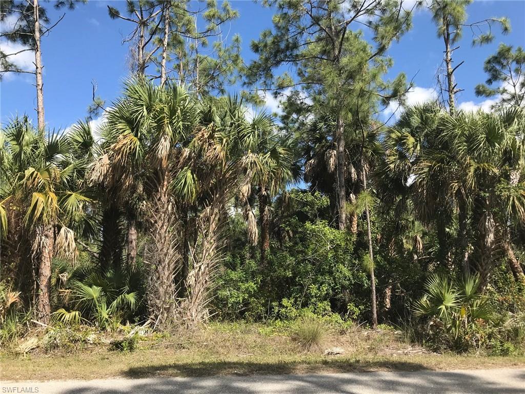 Jung Boulevard Naples, FL 34120 - Photo 4 of 20 a view of a yard