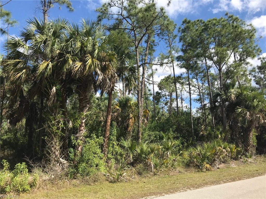 Jung Boulevard Naples, FL 34120 - Photo 5 of 20 a view of a tree