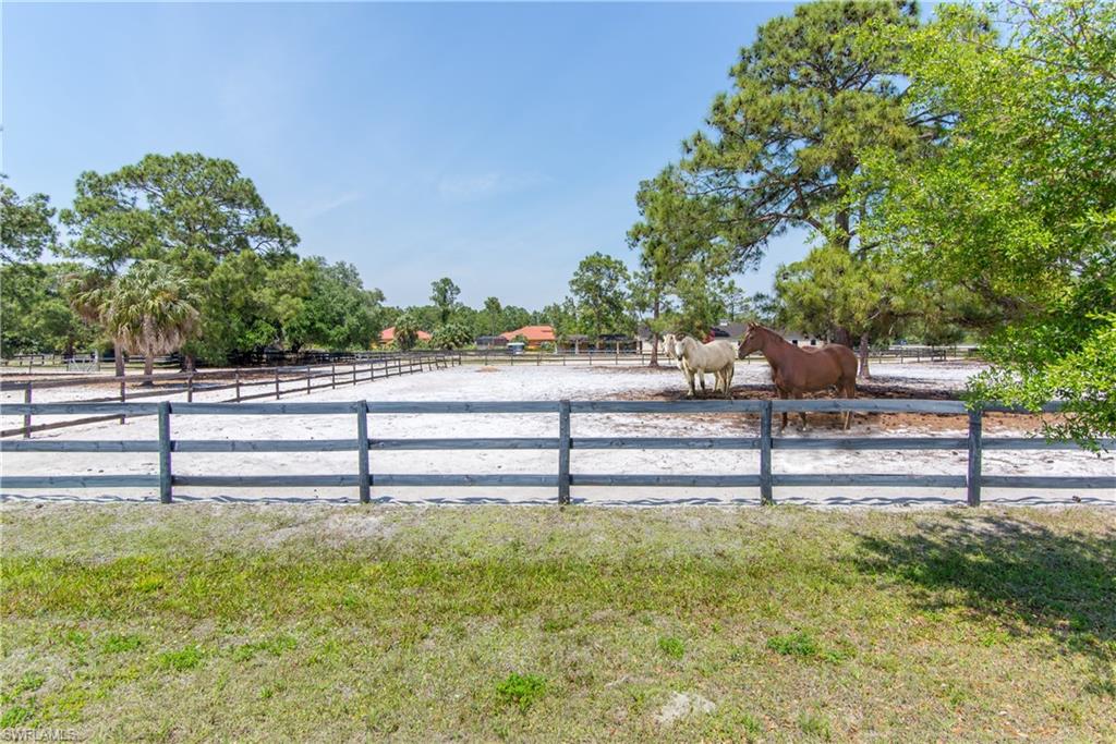 Jung Boulevard Naples, FL 34120 - Photo 7 of 20 a view of park with trees