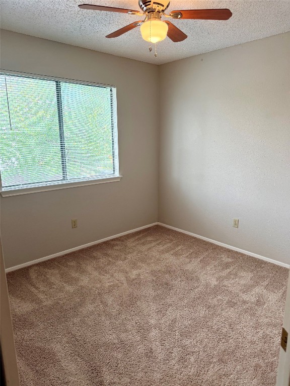 1707 Honeysuckle Lane Round Rock, TX 78664 - Photo 20 of 21 an empty room with a window