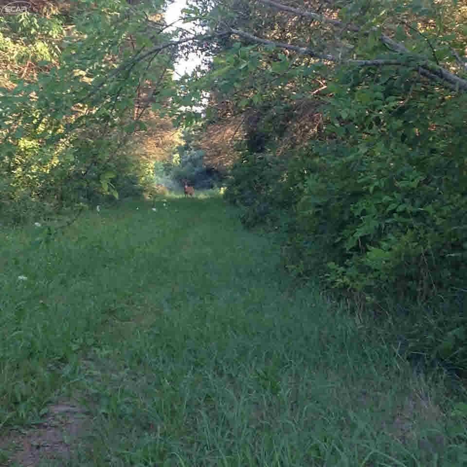 0 Nettney Capac, MI 48014 - Photo 22 of 32