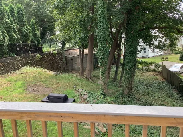 a view of a garden with plants