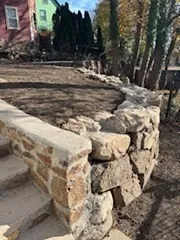 a view of a yard with plants