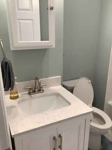 a bathroom with a sink and a toilet