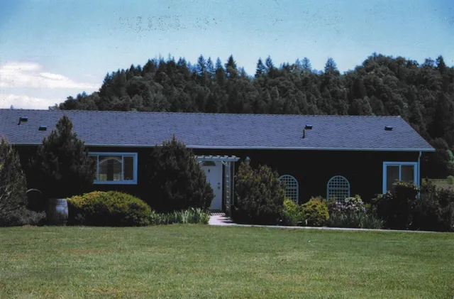 a view of a back yard
