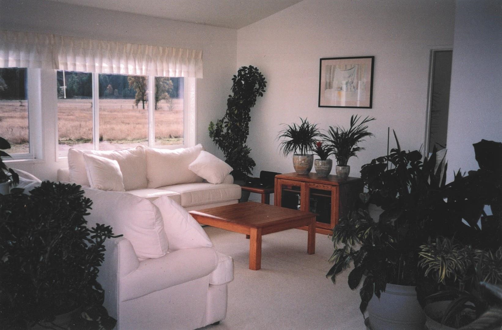 4001 Branscomb Road Laytonville, CA 95454 - Photo 12 of 28 a living room with furniture and a potted plant