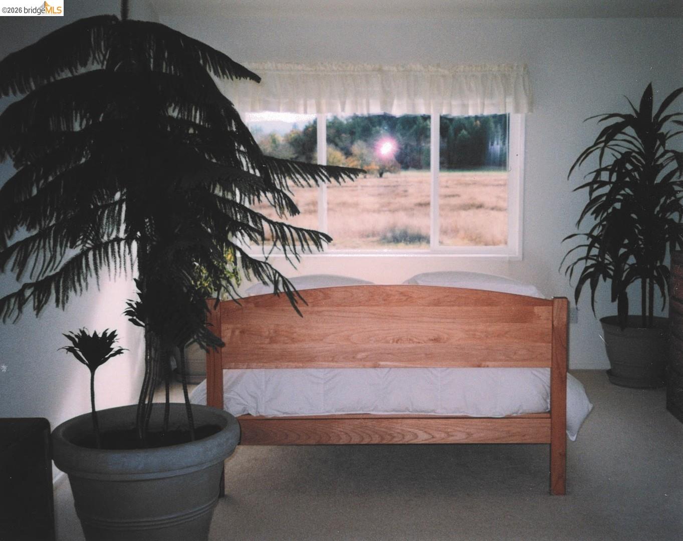 4001 Branscomb Road Laytonville, CA 95454 - Photo 13 of 28 a living room with furniture and a potted plant