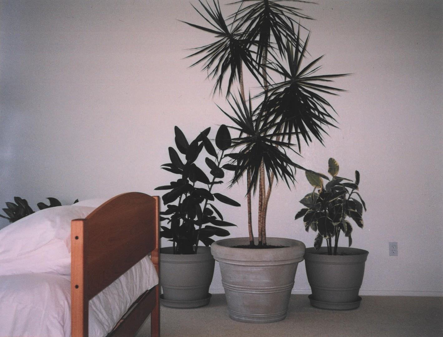 4001 Branscomb Road Laytonville, CA 95454 - Photo 14 of 28 a view of a living room with a potted plant and a potted plant