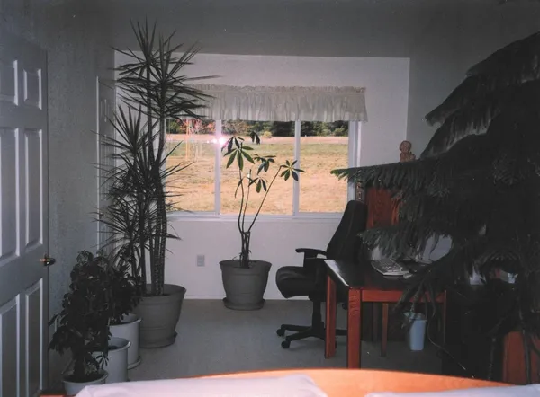 a view of a patio with table and chairs potted plants