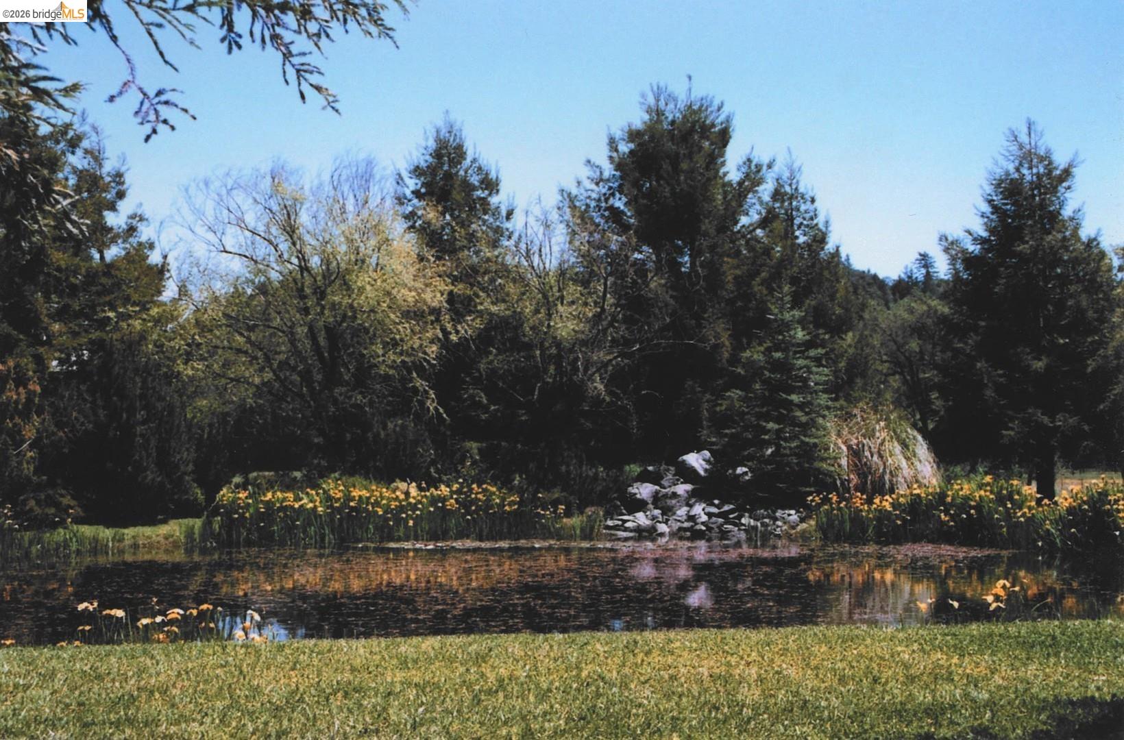 4001 Branscomb Road Laytonville, CA 95454 - Photo 2 of 28 a view of a yard and a fountain