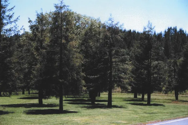 a view of park space
