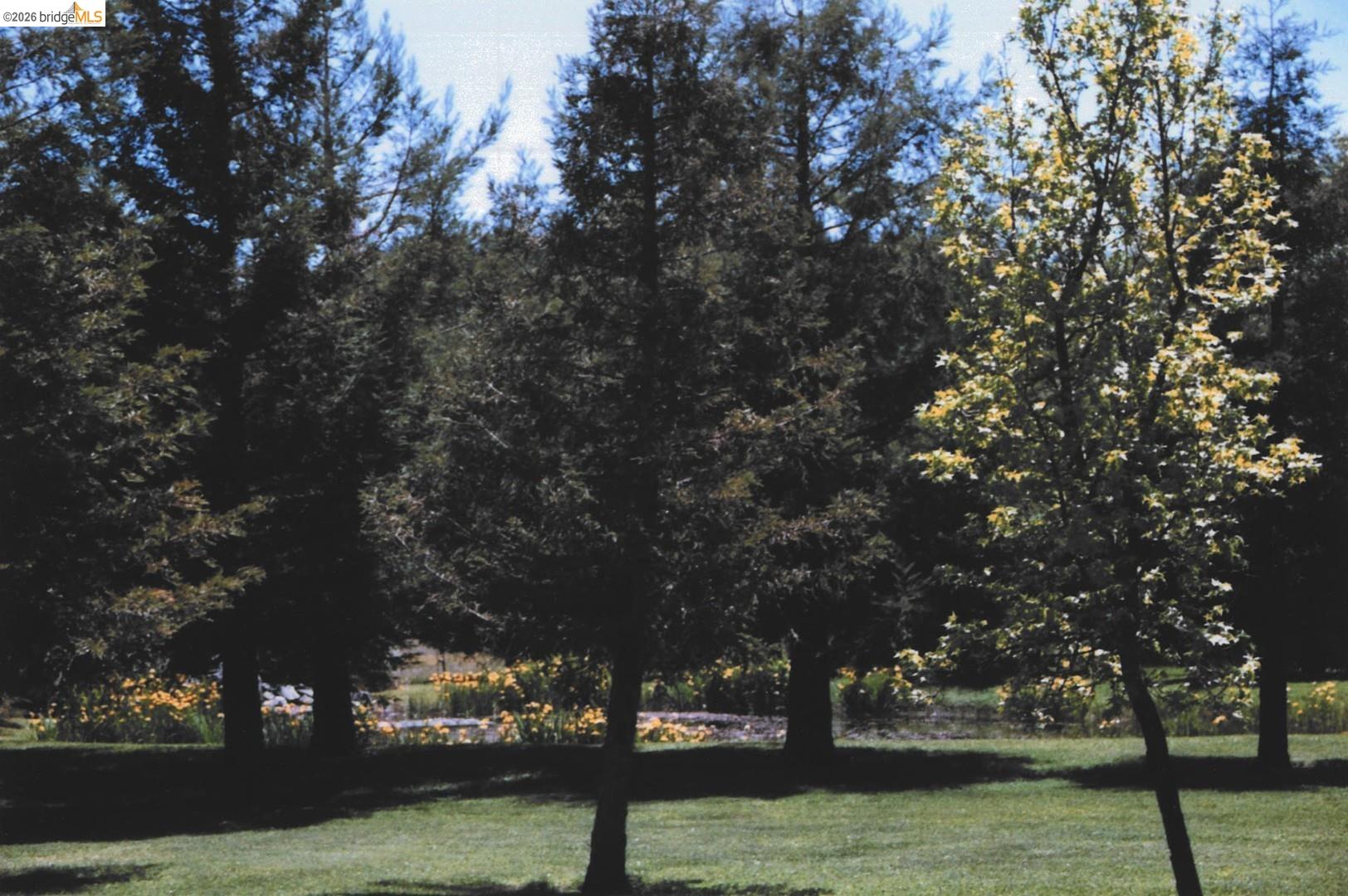 4001 Branscomb Road Laytonville, CA 95454 - Photo 6 of 28 a view of a yard