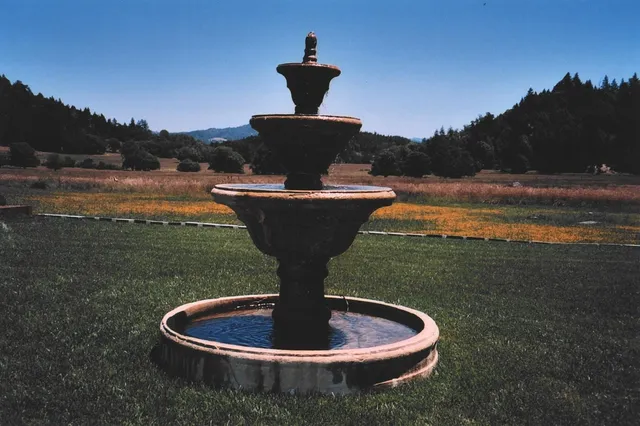 a view of a water pond with a yard