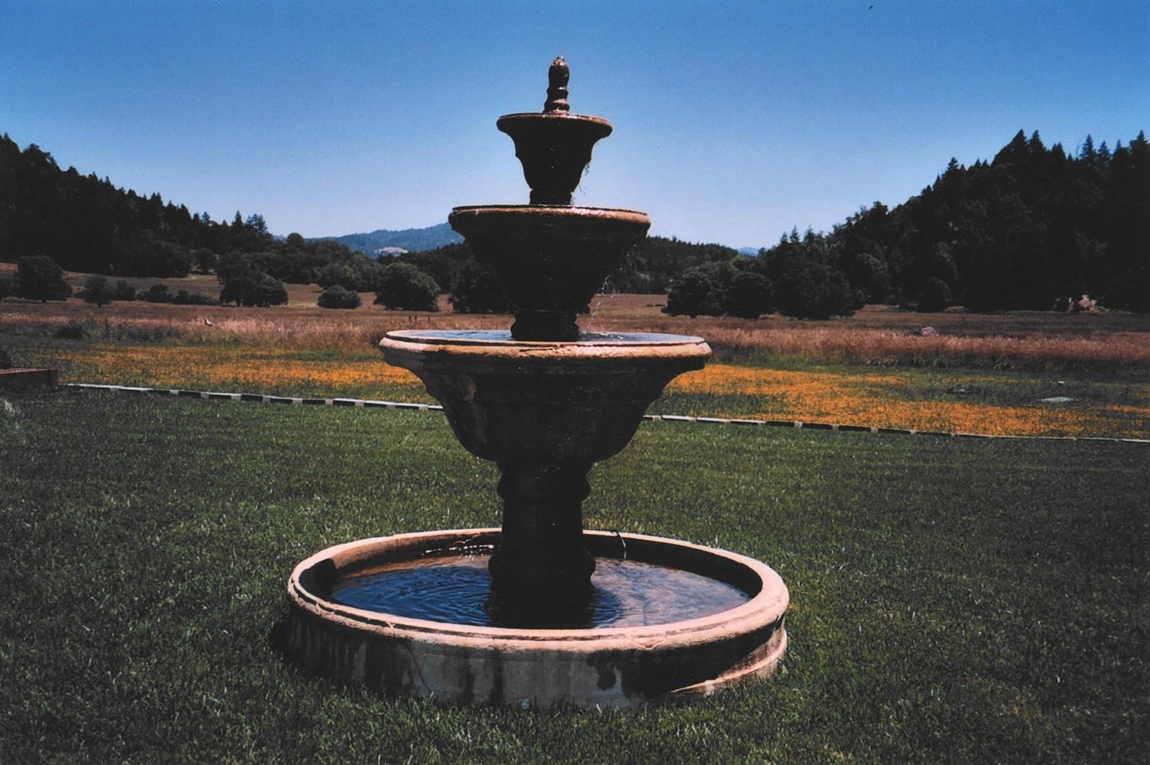 4001 Branscomb Road Laytonville, CA 95454 - Photo 7 of 28 a view of a water pond with a yard
