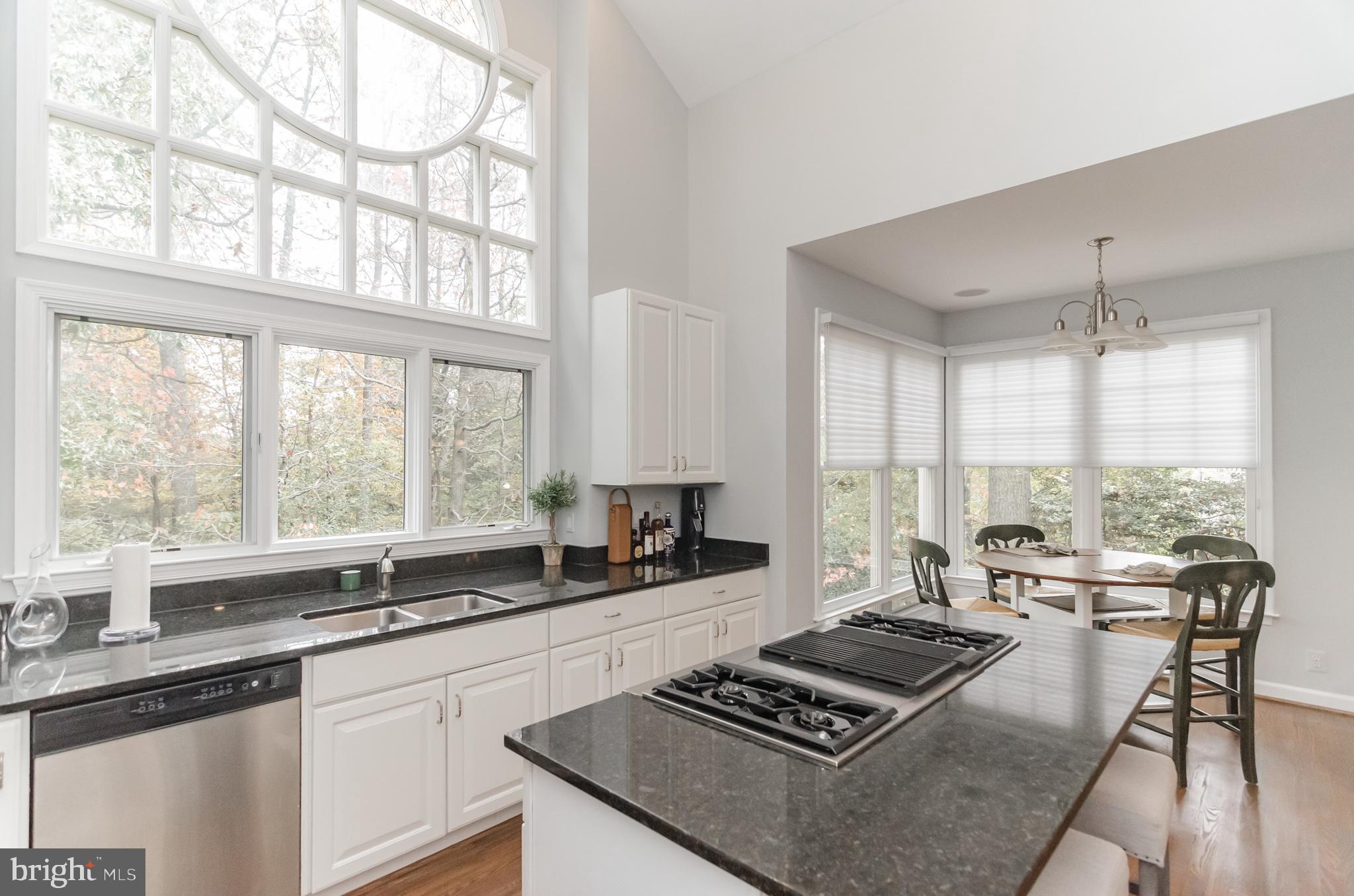 1332 Red Hawk Circle Reston, VA 20194 - Photo 15 of 31