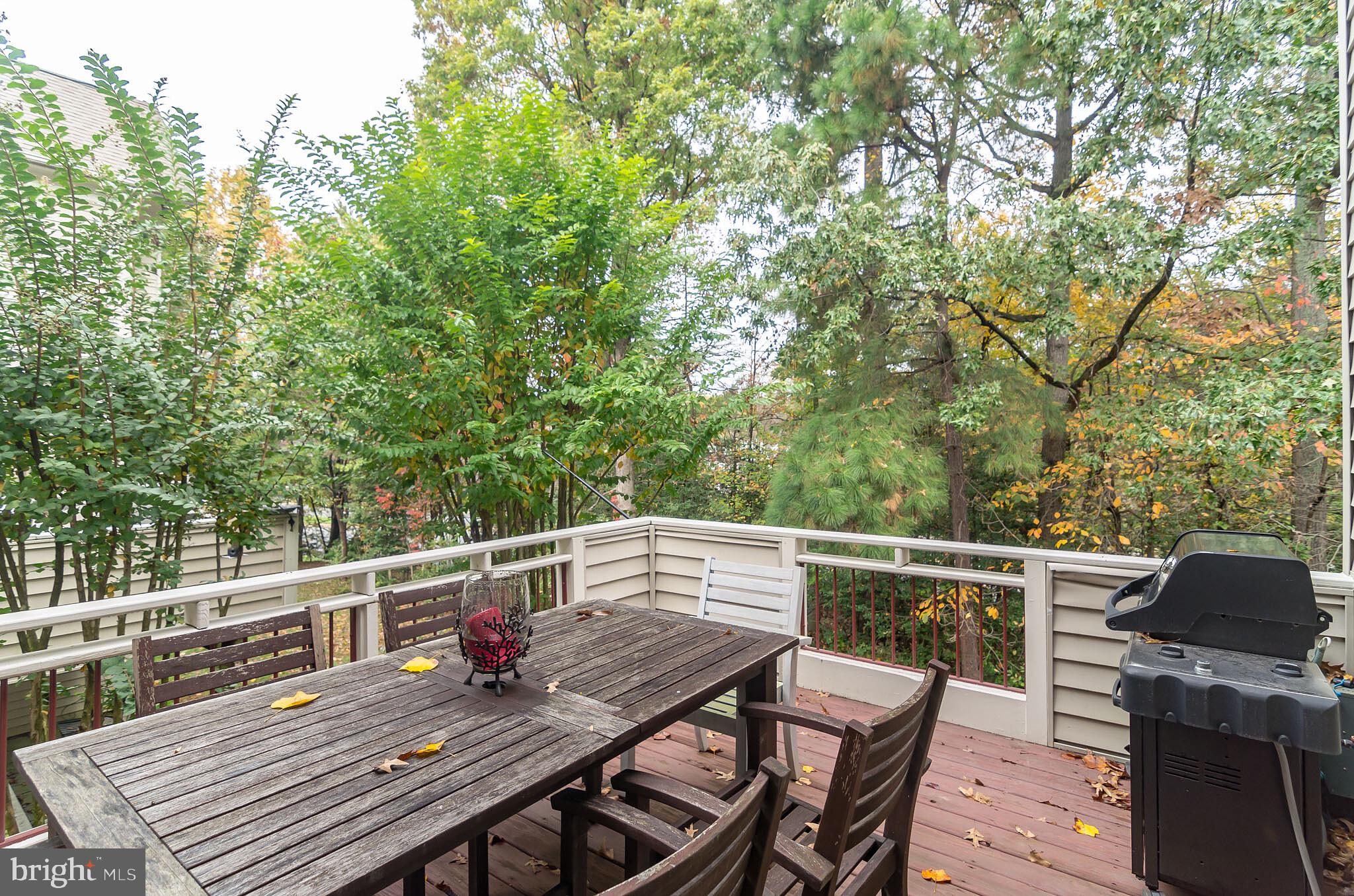 1332 Red Hawk Circle Reston, VA 20194 - Photo 10 of 31