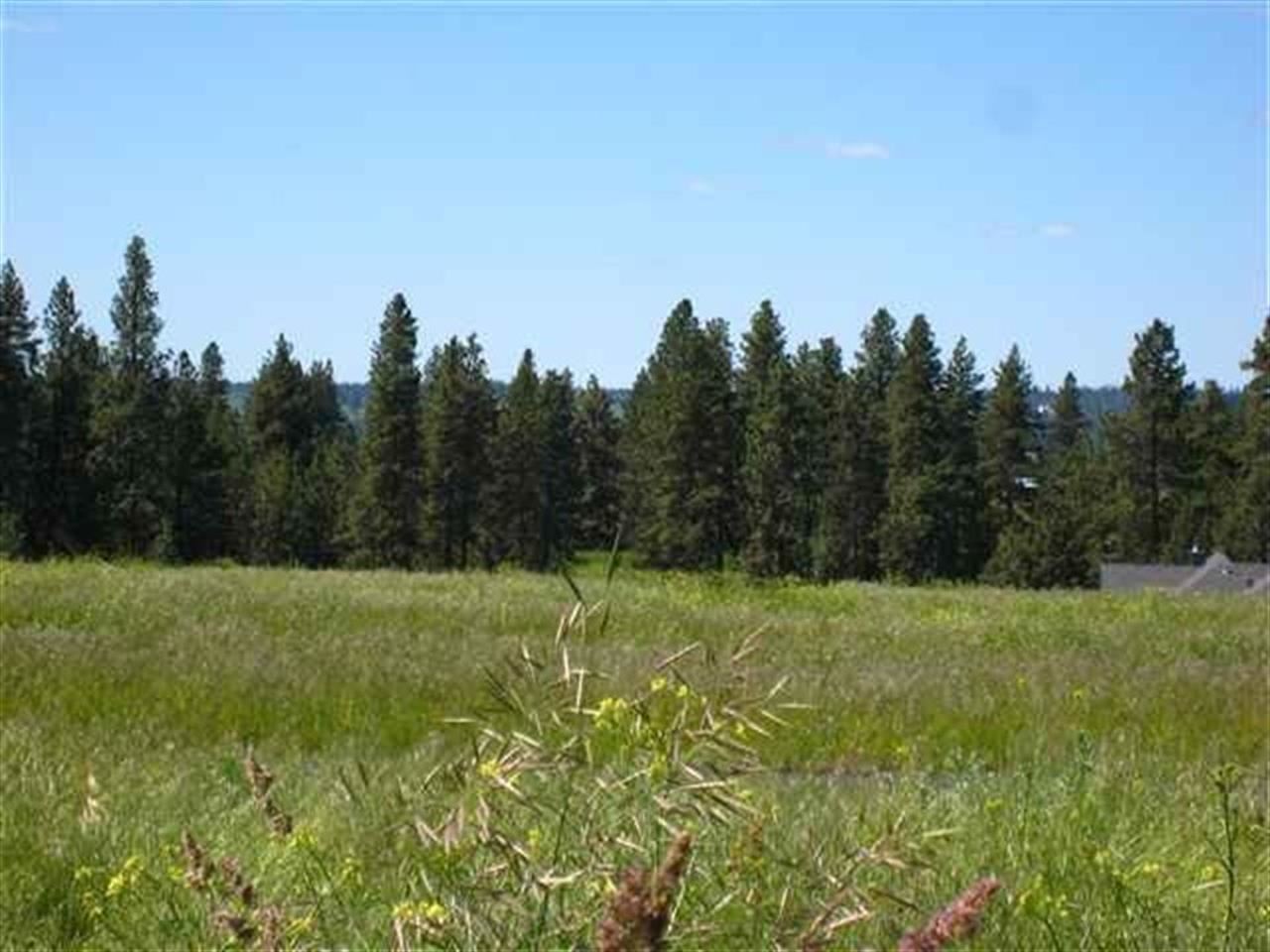 0 South Baltimore Road Spokane, WA 99223 - Photo 1 of 16 Gallery Image 1