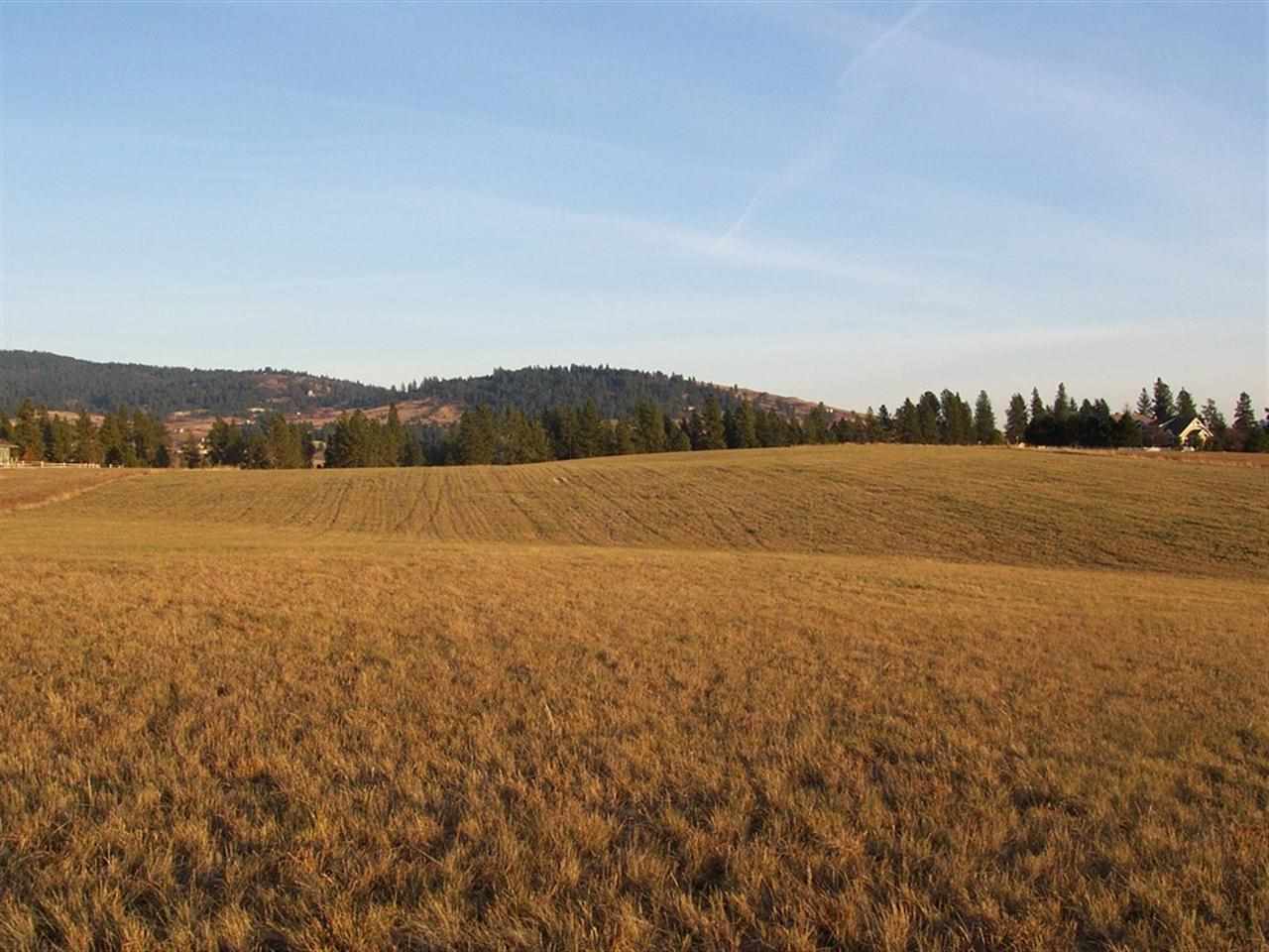 0 South Baltimore Road Spokane, WA 99223 - Photo 2 of 16 Gallery Image 2