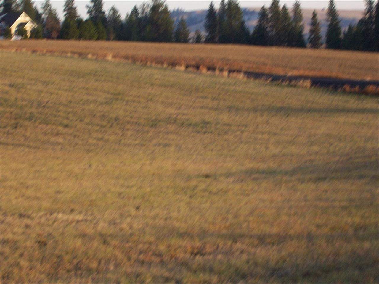 0 South Baltimore Road Spokane, WA 99223 - Photo 14 of 16 Gallery Image 14