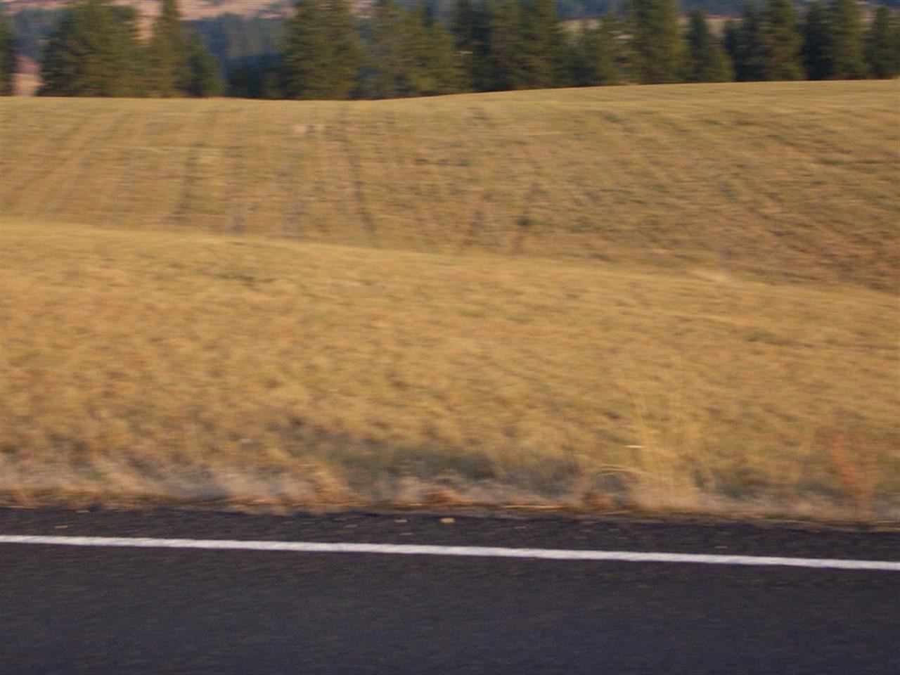 0 South Baltimore Road Spokane, WA 99223 - Photo 15 of 16 Gallery Image 15
