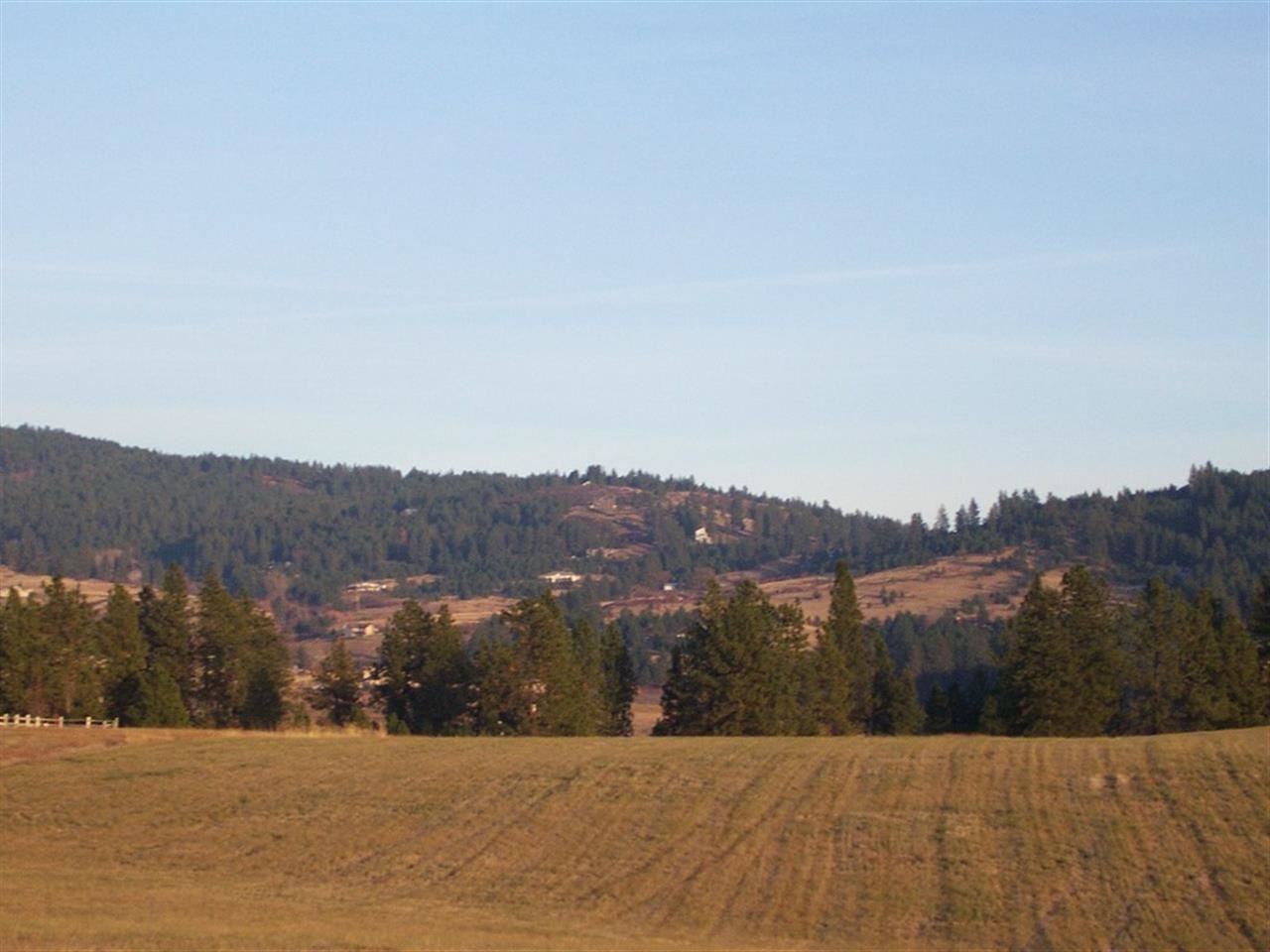0 South Baltimore Road Spokane, WA 99223 - Photo 3 of 16 Gallery Image 3