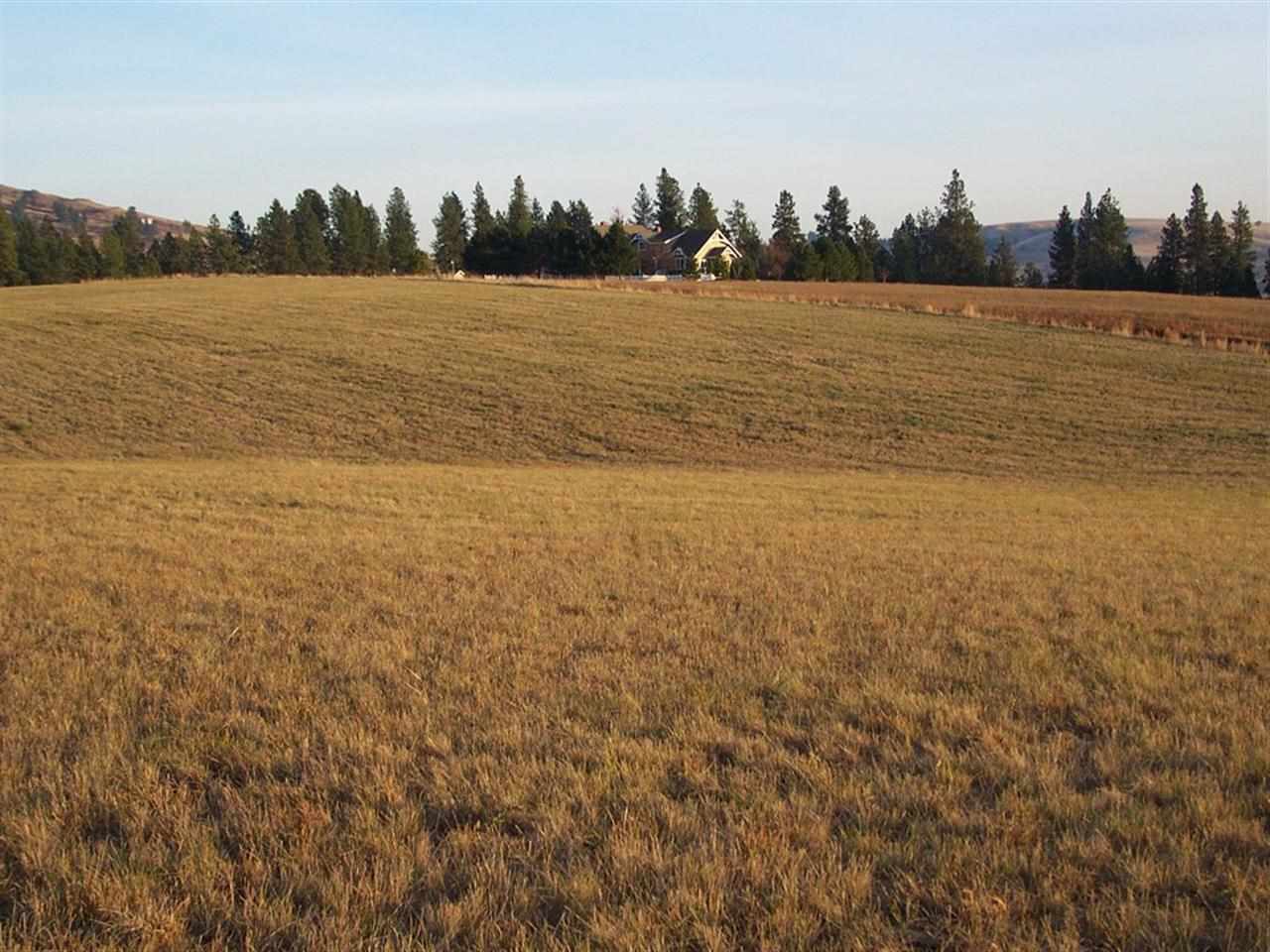 0 South Baltimore Road Spokane, WA 99223 - Photo 4 of 16 Gallery Image 4