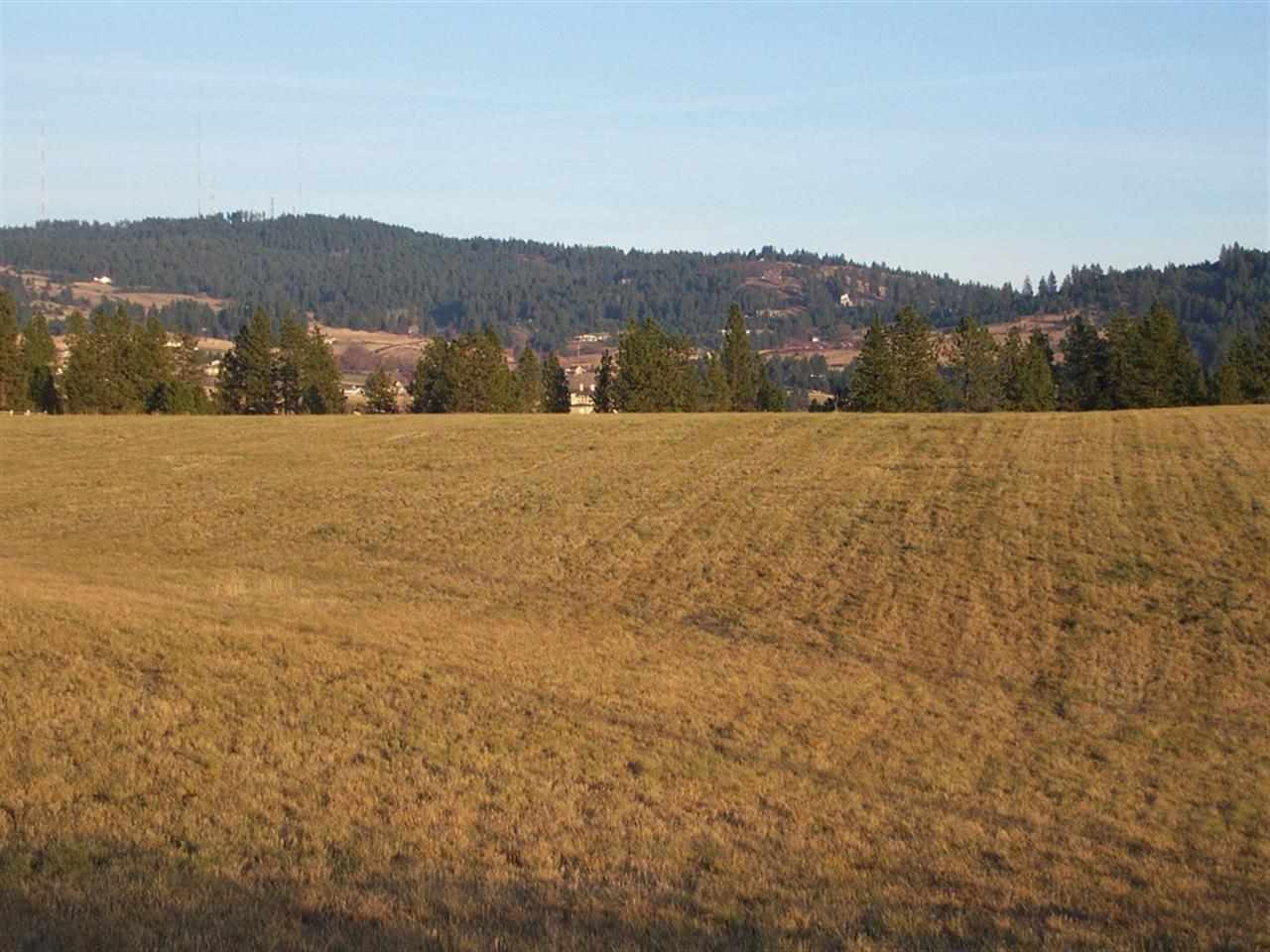 0 South Baltimore Road Spokane, WA 99223 - Photo 5 of 16 Gallery Image 5