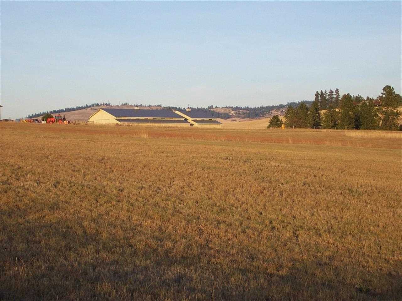 0 South Baltimore Road Spokane, WA 99223 - Photo 6 of 16 Gallery Image 6