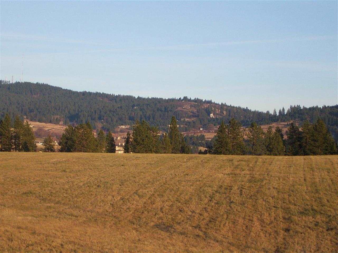0 South Baltimore Road Spokane, WA 99223 - Photo 7 of 16 Gallery Image 7