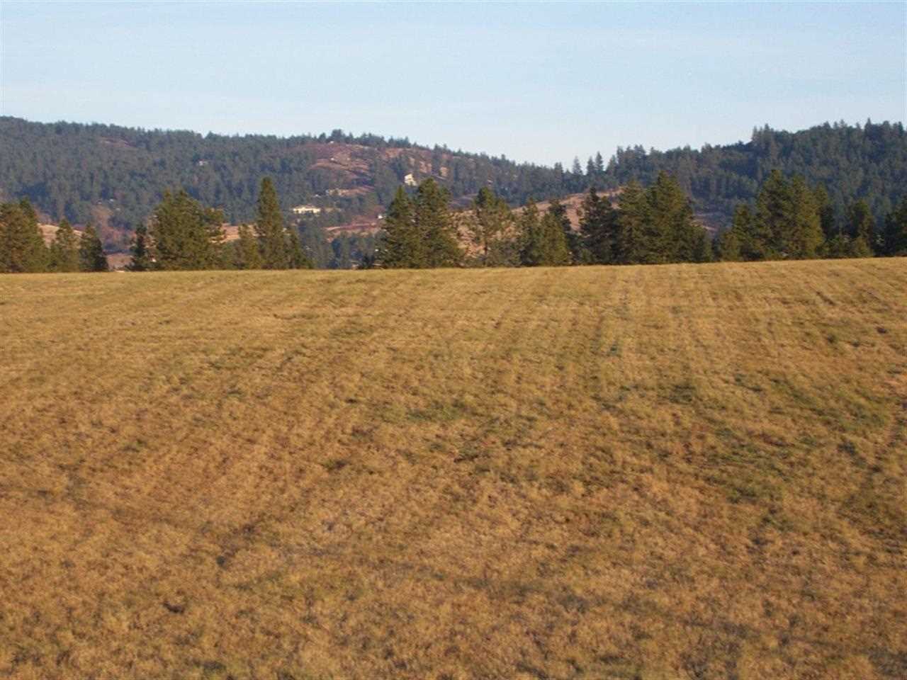 0 South Baltimore Road Spokane, WA 99223 - Photo 8 of 16 Gallery Image 8