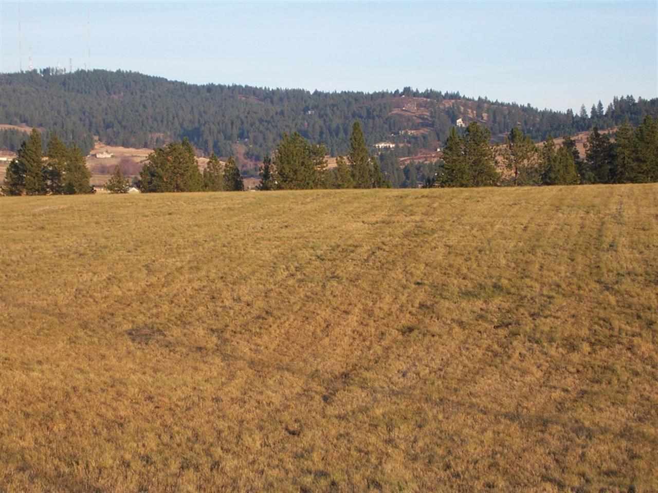 0 South Baltimore Road Spokane, WA 99223 - Photo 9 of 16 Gallery Image 9