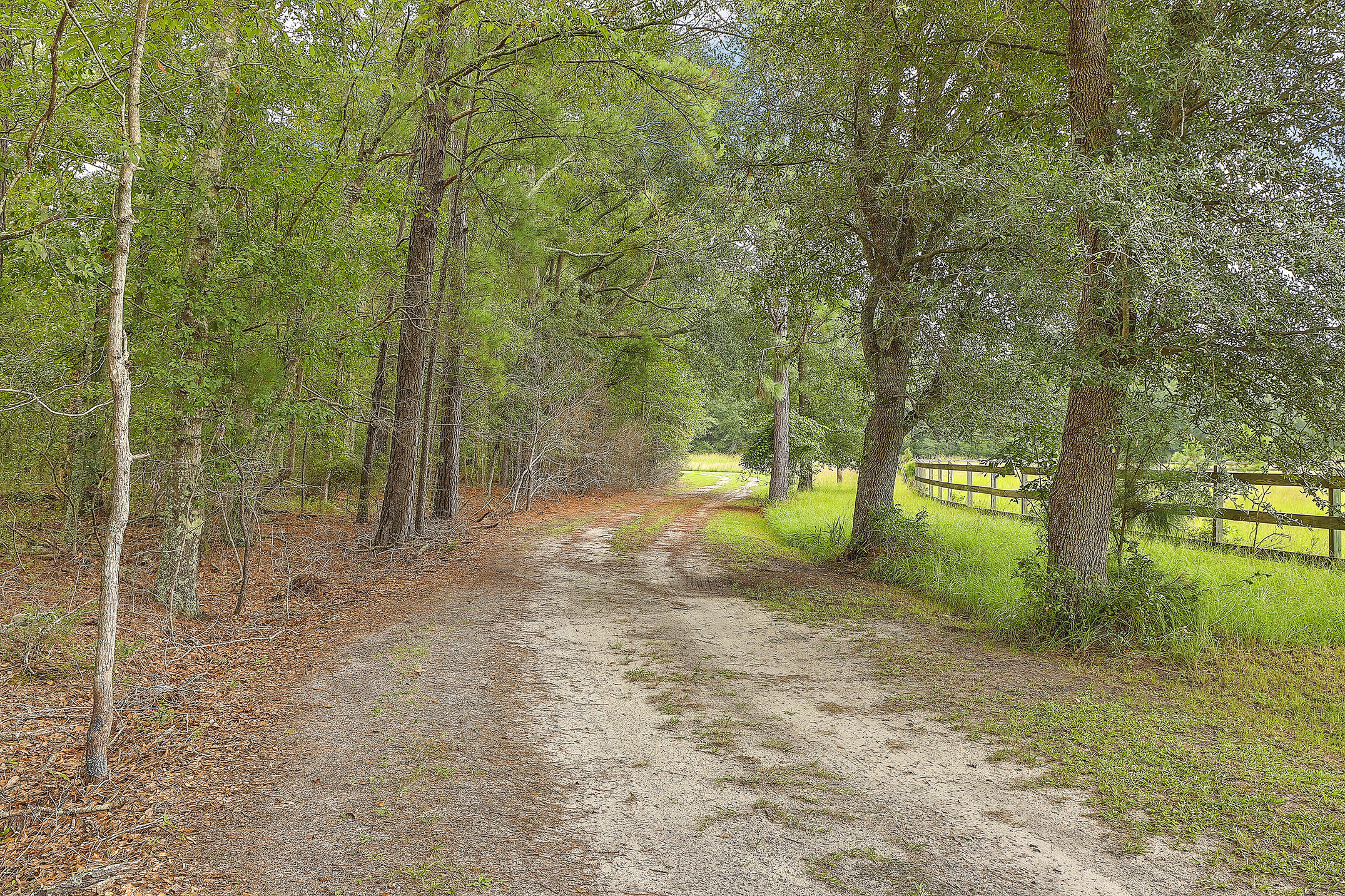 4608 Red Oak Road Cottageville, SC 29435 - Photo 1 of 33 0W7A1641_2_3_4_5_6_7