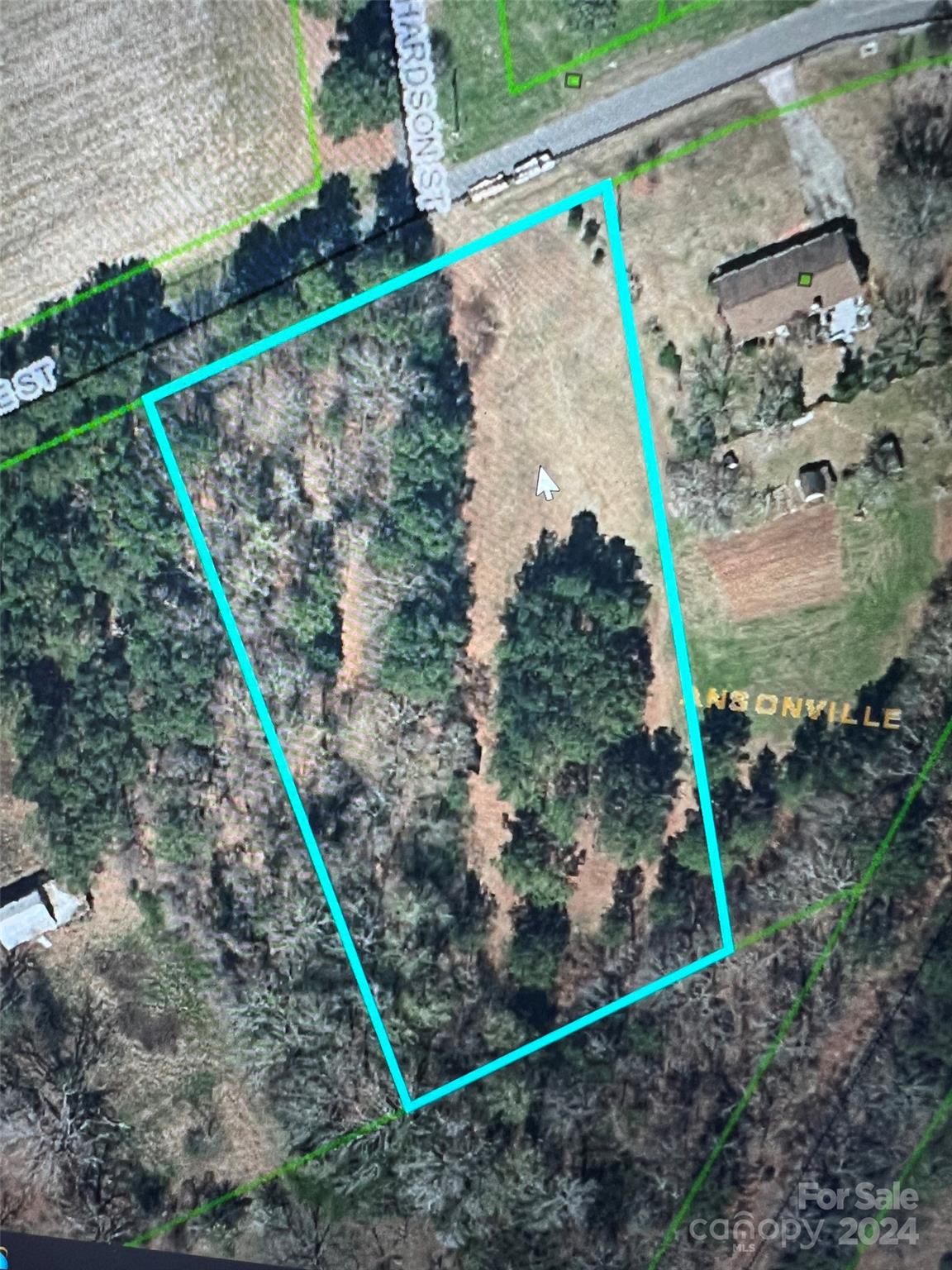 0 Ridge Street Wadesboro, NC 28170 - Photo 4 of 5