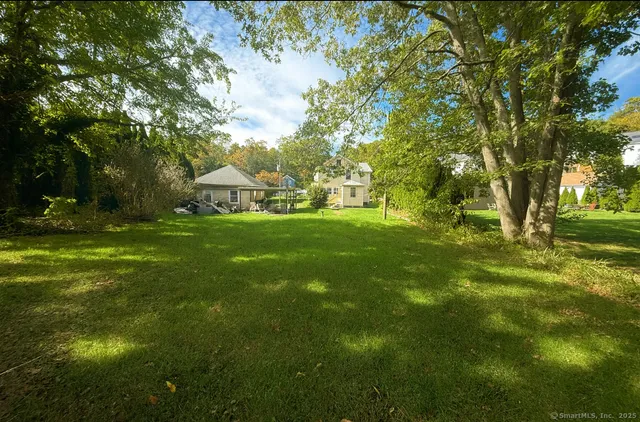 a view of a tree in a yard