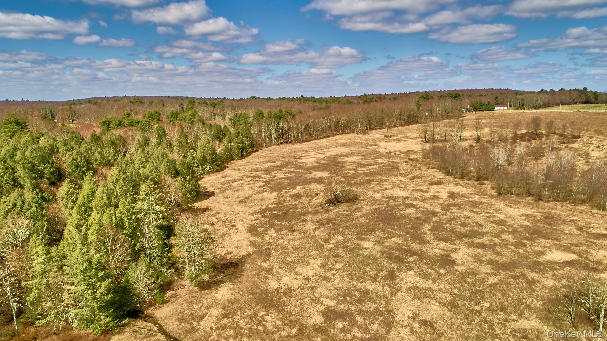 Lot 17.9 Shortcut Road Cochecton, NY 12726 - Photo 14 of 21