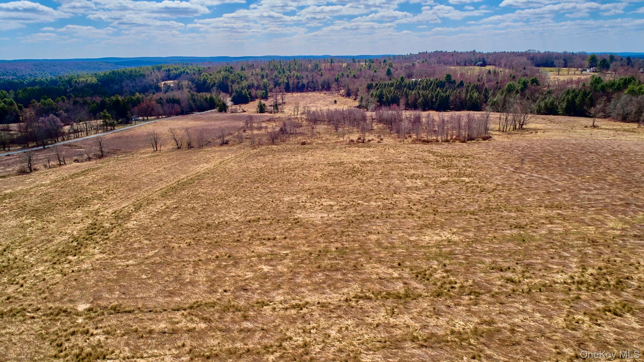 Lot 17.9 Shortcut Road Cochecton, NY 12726 - Photo 15 of 21 Aerial view of sparsely populated area featuring a heavily wooded area